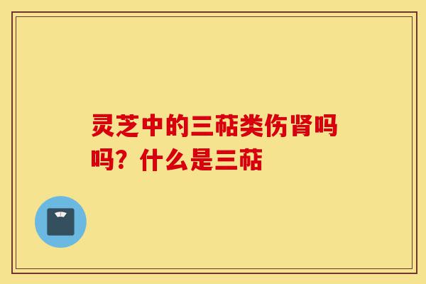 灵芝中的三萜类伤肾吗吗？什么是三萜-第1张图片-灵芝之家
