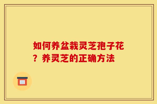 如何养盆栽灵芝孢子花?养灵芝的正确方法-第1张图片-灵芝之家 如何养盆栽灵芝孢子花?养灵芝的正确方法-第1张图片-灵芝之家