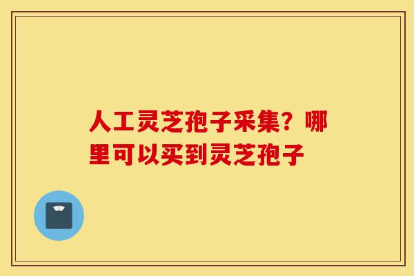 人工灵芝孢子采集？哪里可以买到灵芝孢子-第1张图片-灵芝之家