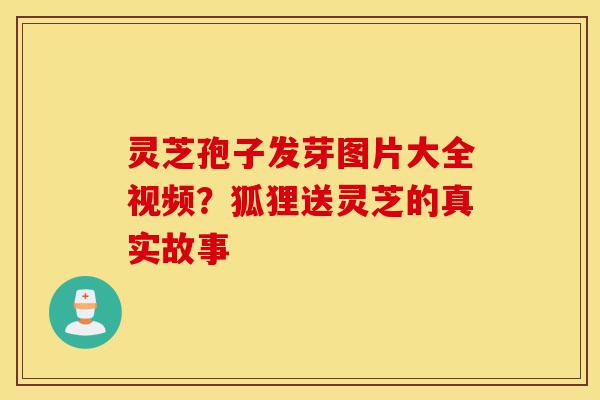 灵芝孢子发芽图片大全视频?狐狸送灵芝的真实故事-第1张图片-灵芝之家 灵芝孢子发芽图片大全视频?狐狸送灵芝的真实故事-第1张图片-灵芝之家