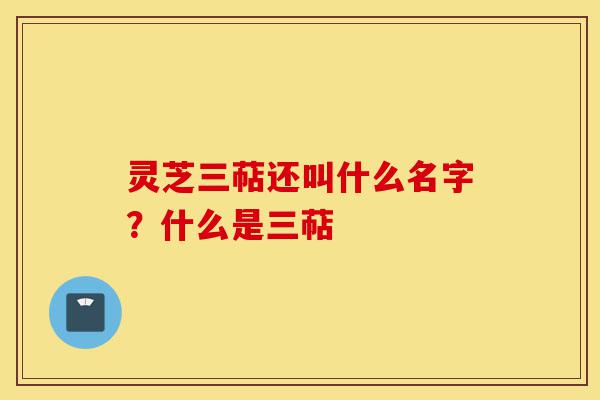 灵芝三萜还叫什么名字?什么是三萜-第1张图片-灵芝之家 灵芝三萜还叫什么名字?什么是三萜-第1张图片-灵芝之家