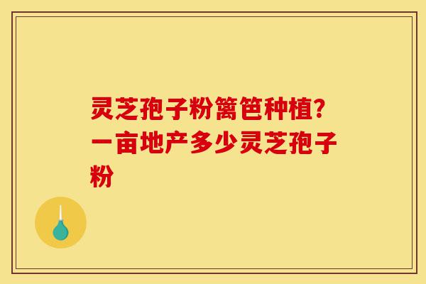 灵芝孢子粉篱笆种植?一亩地产多少灵芝孢子粉-第1张图片-灵芝之家 灵芝孢子粉篱笆种植?一亩地产多少灵芝孢子粉-第1张图片-灵芝之家