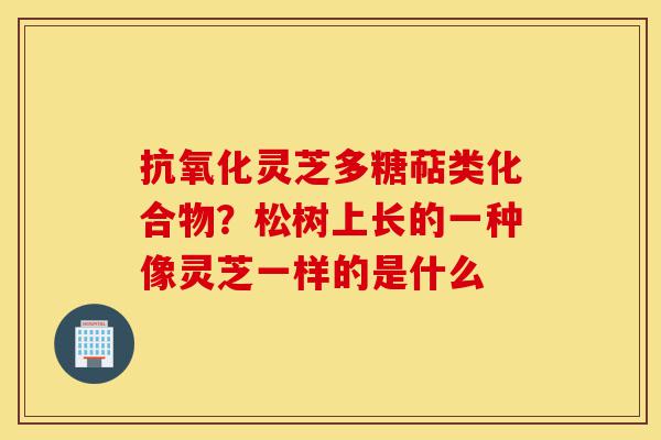 抗氧化灵芝多糖萜类化合物?松树上长的一种像灵芝一样的是什么-第1张图片-灵芝之家 抗氧化灵芝多糖萜类化合物?松树上长的一种像灵芝一样的是什么-第1张图片-灵芝之家