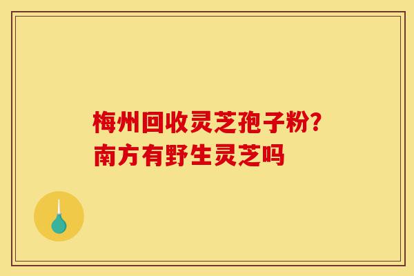 梅州回收灵芝孢子粉？南方有野生灵芝吗-第1张图片-灵芝之家