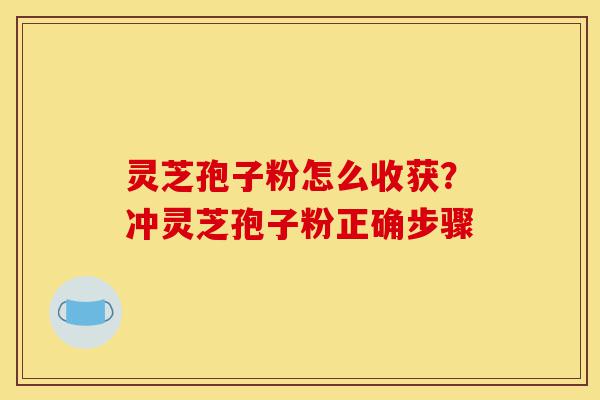 灵芝孢子粉怎么收获?冲灵芝孢子粉正确步骤-第1张图片-灵芝之家 灵芝孢子粉怎么收获?冲灵芝孢子粉正确步骤-第1张图片-灵芝之家