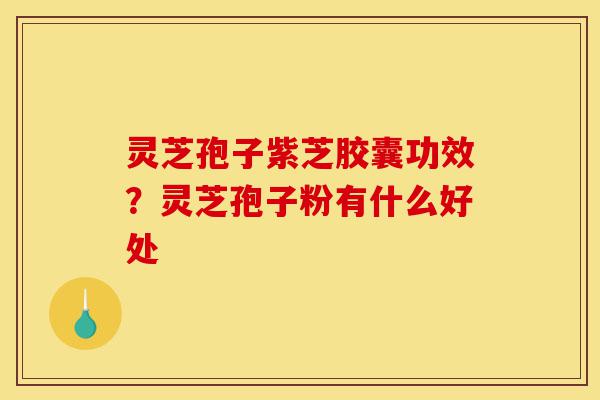 灵芝孢子紫芝胶囊功效?灵芝孢子粉有什么好处-第1张图片-灵芝之家 灵芝孢子紫芝胶囊功效?灵芝孢子粉有什么好处-第1张图片-灵芝之家