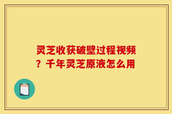 灵芝收获破壁过程视频?千年灵芝原液怎么用-第1张图片-灵芝之家 灵芝收获破壁过程视频?千年灵芝原液怎么用-第1张图片-灵芝之家