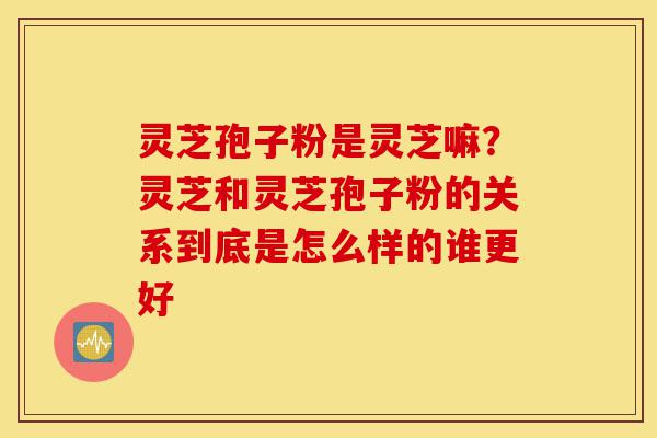 灵芝孢子粉是灵芝嘛？灵芝和灵芝孢子粉的关系到底是怎么样的谁更好-第1张图片-灵芝之家