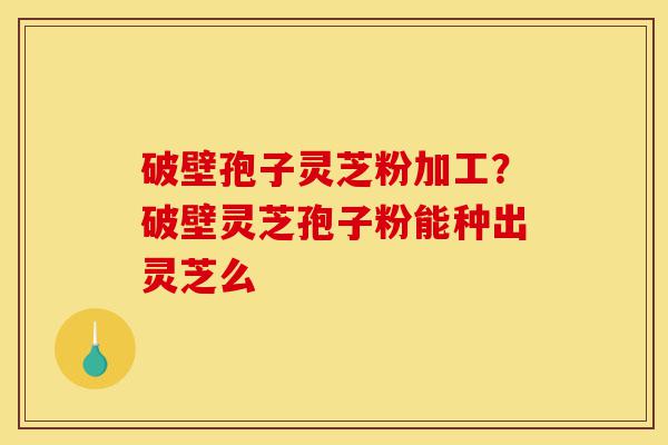 破壁孢子灵芝粉加工?破壁灵芝孢子粉能种出灵芝么-第1张图片-灵芝之家 破壁孢子灵芝粉加工?破壁灵芝孢子粉能种出灵芝么-第1张图片-灵芝之家