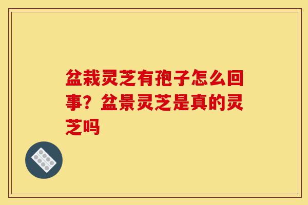盆栽灵芝有孢子怎么回事?盆景灵芝是真的灵芝吗-第1张图片-灵芝之家 盆栽灵芝有孢子怎么回事?盆景灵芝是真的灵芝吗-第1张图片-灵芝之家