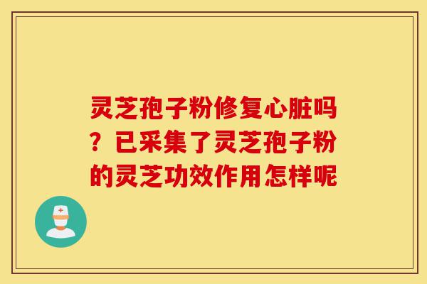 灵芝孢子粉修复心脏吗?已采集了灵芝孢子粉的灵芝功效作用怎样呢-第1张图片-灵芝之家 灵芝孢子粉修复心脏吗?已采集了灵芝孢子粉的灵芝功效作用怎样呢-第1张图片-灵芝之家