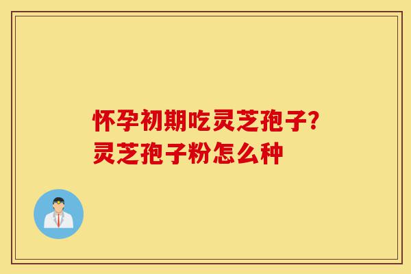 怀孕初期吃灵芝孢子?灵芝孢子粉怎么种-第1张图片-灵芝之家 怀孕初期吃灵芝孢子?灵芝孢子粉怎么种-第1张图片-灵芝之家