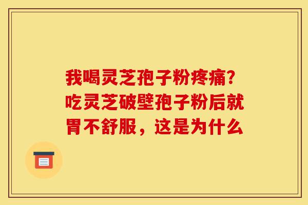 我喝灵芝孢子粉疼痛？吃灵芝破壁孢子粉后就胃不舒服，这是为什么-第1张图片-灵芝之家