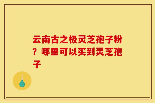 云南古之极灵芝孢子粉？哪里可以买到灵芝孢子-第1张图片-灵芝之家