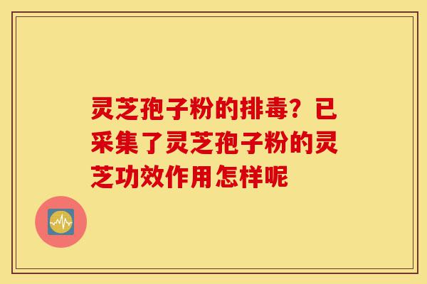 灵芝孢子粉的排毒？已采集了灵芝孢子粉的灵芝功效作用怎样呢-第1张图片-灵芝之家