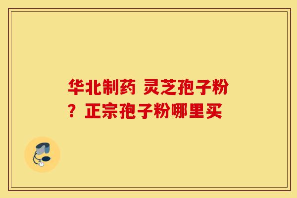 华北制药 灵芝孢子粉？正宗孢子粉哪里买-第1张图片-灵芝之家