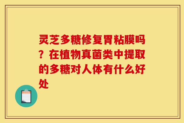 灵芝多糖修复胃粘膜吗?在植物真菌类中提取的多糖对人体有什么好处-第1张图片-灵芝之家 灵芝多糖修复胃粘膜吗?在植物真菌类中提取的多糖对人体有什么好处-第1张图片-灵芝之家