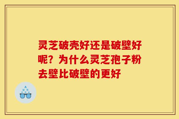 灵芝破壳好还是破壁好呢?为什么灵芝孢子粉去壁比破壁的更好-第1张图片-灵芝之家 灵芝破壳好还是破壁好呢?为什么灵芝孢子粉去壁比破壁的更好-第1张图片-灵芝之家