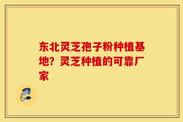 东北灵芝孢子粉种植基地?灵芝种植的可靠厂家-第1张图片-灵芝之家 东北灵芝孢子粉种植基地?灵芝种植的可靠厂家-第1张图片-灵芝之家