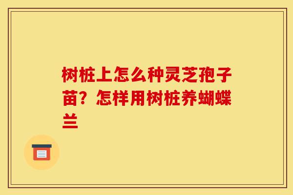 树桩上怎么种灵芝孢子苗?怎样用树桩养蝴蝶兰-第1张图片-灵芝之家 树桩上怎么种灵芝孢子苗?怎样用树桩养蝴蝶兰-第1张图片-灵芝之家