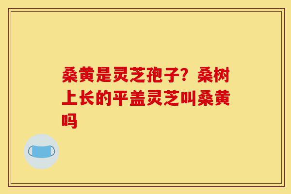 桑黄是灵芝孢子?桑树上长的平盖灵芝叫桑黄吗-第1张图片-灵芝之家 桑黄是灵芝孢子?桑树上长的平盖灵芝叫桑黄吗-第1张图片-灵芝之家