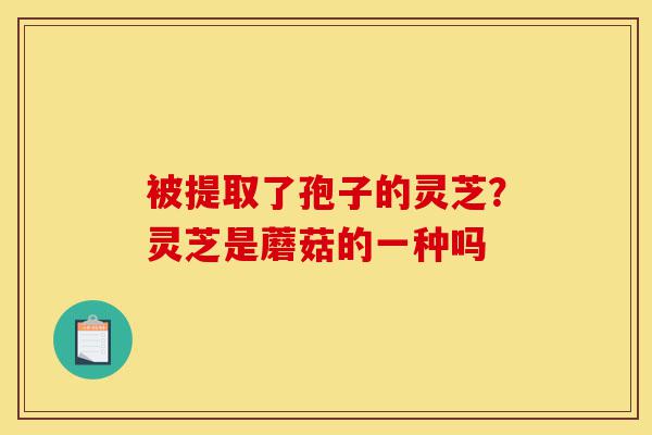 被提取了孢子的灵芝?灵芝是蘑菇的一种吗-第1张图片-灵芝之家 被提取了孢子的灵芝?灵芝是蘑菇的一种吗-第1张图片-灵芝之家