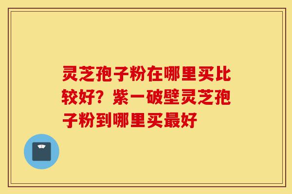 灵芝孢子粉在哪里买比较好？紫一破壁灵芝孢子粉到哪里买最好-第1张图片-灵芝之家