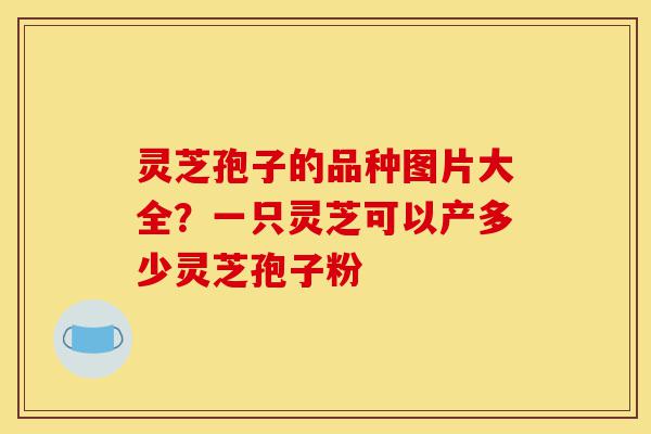 灵芝孢子的品种图片大全?一只灵芝可以产多少灵芝孢子粉-第1张图片-灵芝之家 灵芝孢子的品种图片大全?一只灵芝可以产多少灵芝孢子粉-第1张图片-灵芝之家
