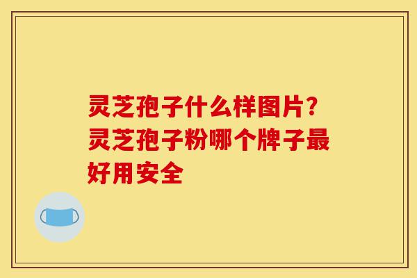 灵芝孢子什么样图片？灵芝孢子粉哪个牌子最好用安全-第1张图片-灵芝之家