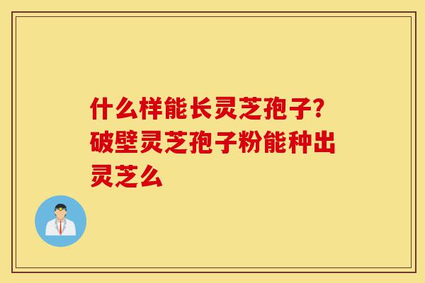 什么样能长灵芝孢子?破壁灵芝孢子粉能种出灵芝么-第1张图片-灵芝之家 什么样能长灵芝孢子?破壁灵芝孢子粉能种出灵芝么-第1张图片-灵芝之家