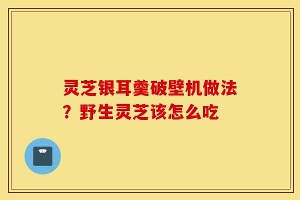 灵芝银耳羹破壁机做法？野生灵芝该怎么吃-第1张图片-灵芝之家