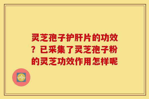 灵芝孢子护肝片的功效?已采集了灵芝孢子粉的灵芝功效作用怎样呢-第1张图片-灵芝之家 灵芝孢子护肝片的功效?已采集了灵芝孢子粉的灵芝功效作用怎样呢-第1张图片-灵芝之家