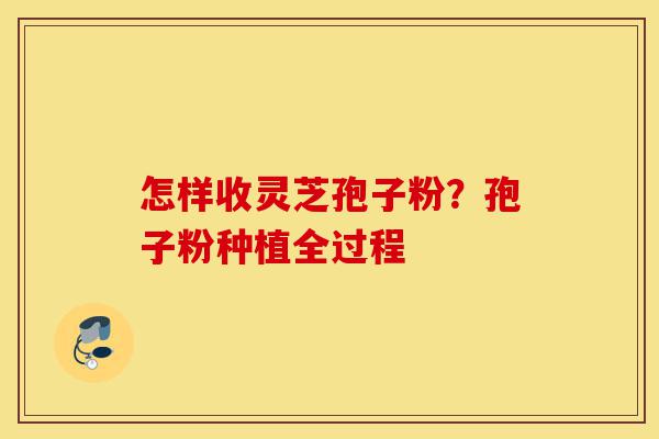 怎样收灵芝孢子粉?孢子粉种植全过程-第1张图片-灵芝之家 怎样收灵芝孢子粉?孢子粉种植全过程-第1张图片-灵芝之家