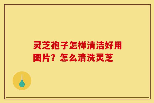 灵芝孢子怎样清洁好用图片?怎么清洗灵芝-第1张图片-灵芝之家 灵芝孢子怎样清洁好用图片?怎么清洗灵芝-第1张图片-灵芝之家