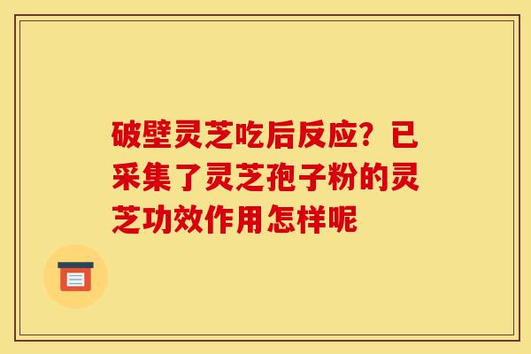破壁灵芝吃后反应？已采集了灵芝孢子粉的灵芝功效作用怎样呢-第1张图片-灵芝之家