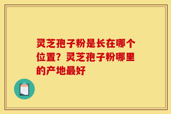 灵芝孢子粉是长在哪个位置?灵芝孢子粉哪里的产地最好-第1张图片-灵芝之家 灵芝孢子粉是长在哪个位置?灵芝孢子粉哪里的产地最好-第1张图片-灵芝之家