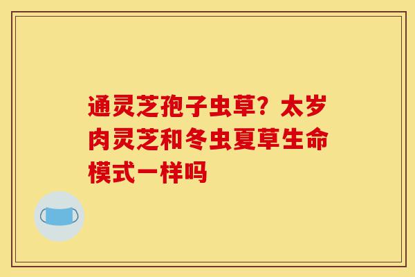 通灵芝孢子虫草？太岁肉灵芝和冬虫夏草生命模式一样吗-第1张图片-灵芝之家