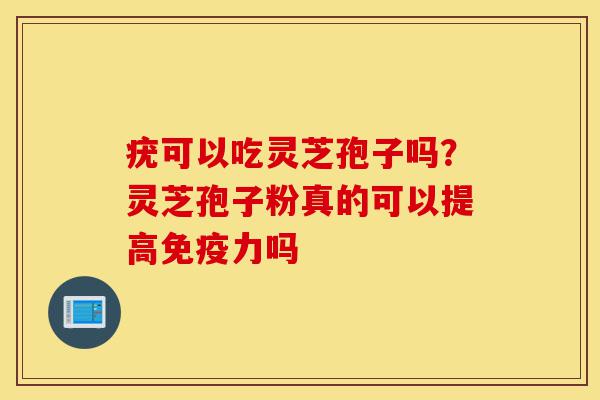 疣可以吃灵芝孢子吗?灵芝孢子粉真的可以提高免疫力吗-第1张图片-灵芝之家 疣可以吃灵芝孢子吗?灵芝孢子粉真的可以提高免疫力吗-第1张图片-灵芝之家