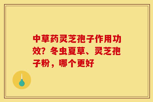 中草药灵芝孢子作用功效?冬虫夏草、灵芝孢子粉,哪个更好-第1张图片-灵芝之家 中草药灵芝孢子作用功效?冬虫夏草、灵芝孢子粉,哪个更好-第1张图片-灵芝之家