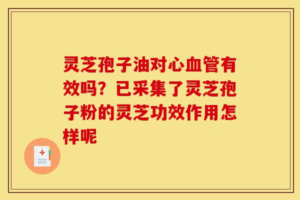 灵芝孢子油对心血管有效吗?已采集了灵芝孢子粉的灵芝功效作用怎样呢-第1张图片-灵芝之家 灵芝孢子油对心血管有效吗?已采集了灵芝孢子粉的灵芝功效作用怎样呢-第1张图片-灵芝之家