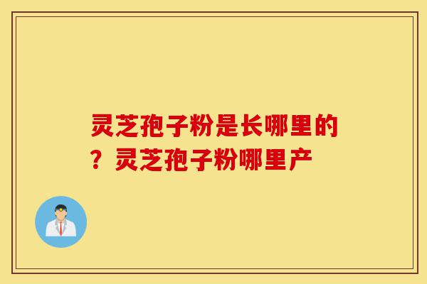 灵芝孢子粉是长哪里的？灵芝孢子粉哪里产-第1张图片-灵芝之家