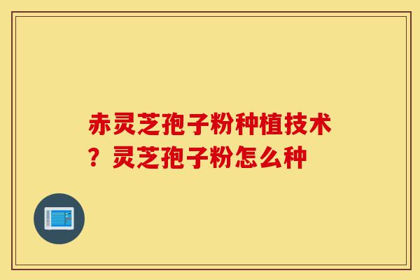 赤灵芝孢子粉种植技术?灵芝孢子粉怎么种-第1张图片-灵芝之家 赤灵芝孢子粉种植技术?灵芝孢子粉怎么种-第1张图片-灵芝之家