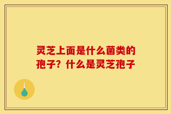 灵芝上面是什么菌类的孢子?什么是灵芝孢子-第1张图片-灵芝之家 灵芝上面是什么菌类的孢子?什么是灵芝孢子-第1张图片-灵芝之家