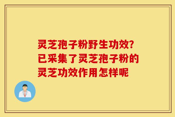 灵芝孢子粉野生功效?已采集了灵芝孢子粉的灵芝功效作用怎样呢-第1张图片-灵芝之家 灵芝孢子粉野生功效?已采集了灵芝孢子粉的灵芝功效作用怎样呢-第1张图片-灵芝之家