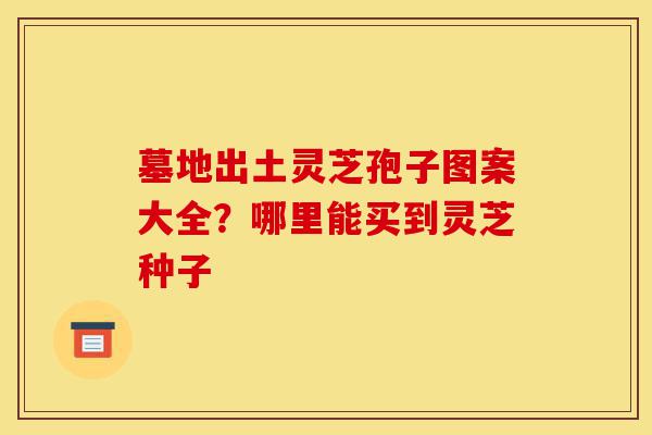 墓地出土灵芝孢子图案大全?哪里能买到灵芝种子-第1张图片-灵芝之家 墓地出土灵芝孢子图案大全?哪里能买到灵芝种子-第1张图片-灵芝之家