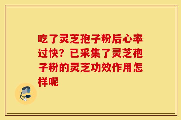 吃了灵芝孢子粉后心率过快?已采集了灵芝孢子粉的灵芝功效作用怎样呢-第1张图片-灵芝之家 吃了灵芝孢子粉后心率过快?已采集了灵芝孢子粉的灵芝功效作用怎样呢-第1张图片-灵芝之家