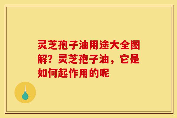 灵芝孢子油用途大全图解?灵芝孢子油,它是如何起作用的呢-第1张图片-灵芝之家 灵芝孢子油用途大全图解?灵芝孢子油,它是如何起作用的呢-第1张图片-灵芝之家