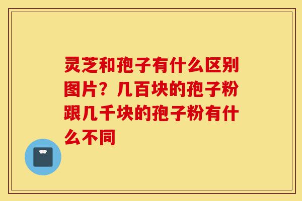灵芝和孢子有什么区别图片?几百块的孢子粉跟几千块的孢子粉有什么不同-第1张图片-灵芝之家 灵芝和孢子有什么区别图片?几百块的孢子粉跟几千块的孢子粉有什么不同-第1张图片-灵芝之家