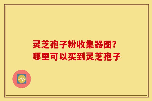 灵芝孢子粉收集器图?哪里可以买到灵芝孢子-第1张图片-灵芝之家 灵芝孢子粉收集器图?哪里可以买到灵芝孢子-第1张图片-灵芝之家
