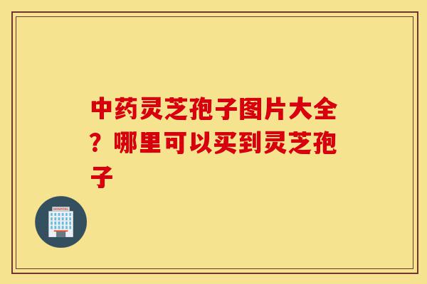 中药灵芝孢子图片大全?哪里可以买到灵芝孢子-第1张图片-灵芝之家 中药灵芝孢子图片大全?哪里可以买到灵芝孢子-第1张图片-灵芝之家